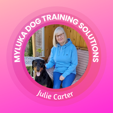 MyLuka Dog Training Solutions