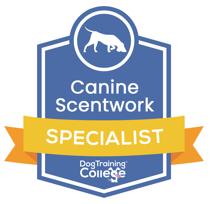 Canine Scentwork Specialist